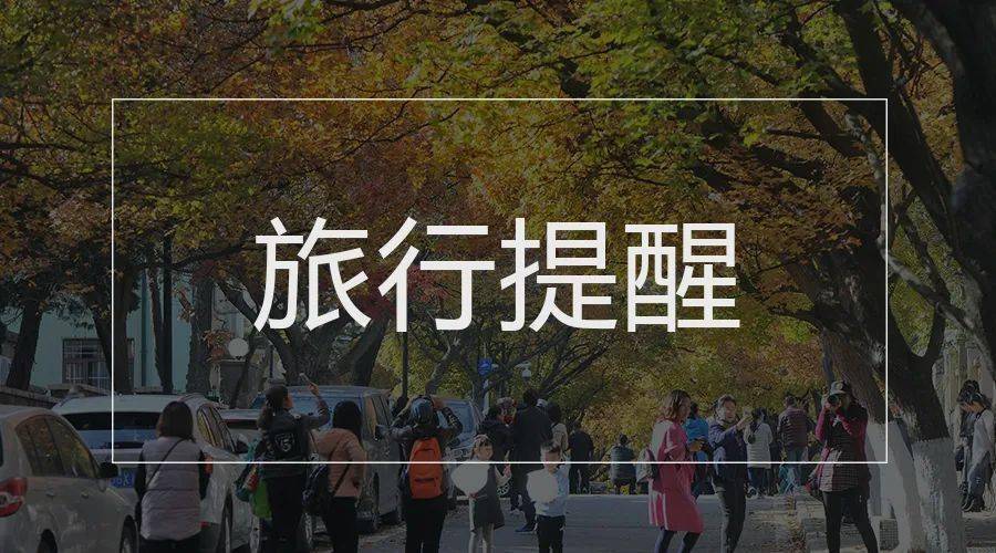 暂不恢复旅行社及在线旅游企业出入境团队旅游业务!