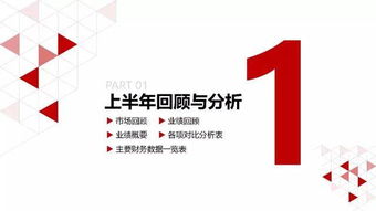 旅游业龙头 中国国旅财务分析报告