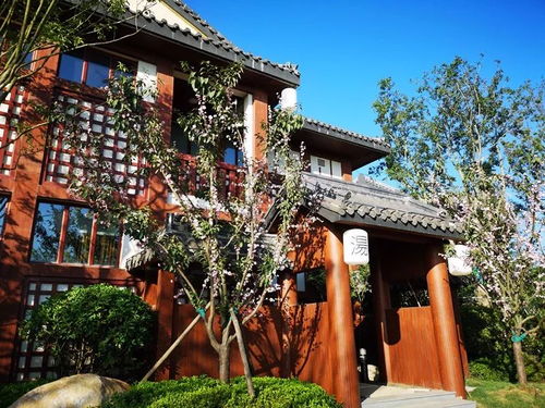 崇明南通两地网友集中开展采风活动