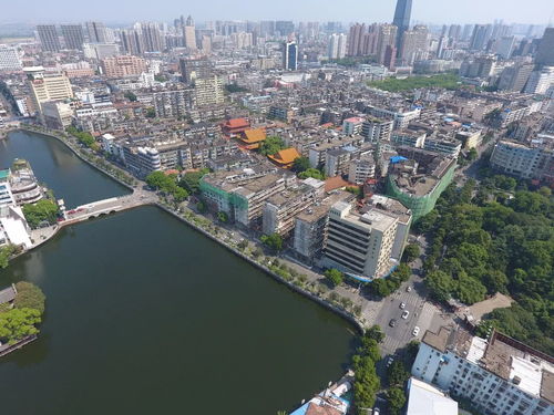 十天建一城,助力东湖 三看 活动顺利举行