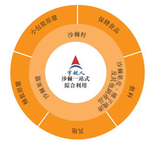 全球最大沙棘产品供应商宇航人赴港ipo,业绩高度依赖海外市场