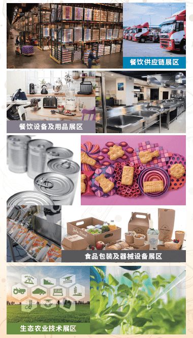 食品展 端午节到了,你吃的粽子也要 上市 了