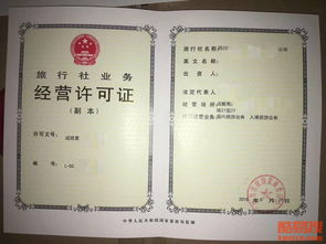 成都酷易搜 引领入境旅游新潮流