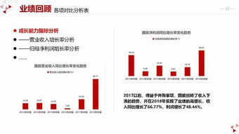中国国旅财务分析报告 国内旅游业务