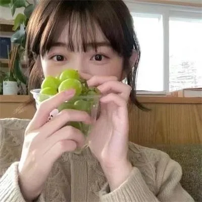 【高分治愈】《浪漫的体质》全集1080P：三个三十岁女人的琐碎日常，台词句句都是人生哲理